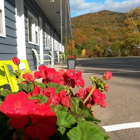 Cornerstone Motel Chéticamp Εξωτερικό φωτογραφία